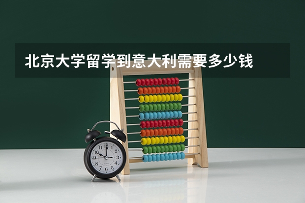 北京大学留学到意大利需要多少钱