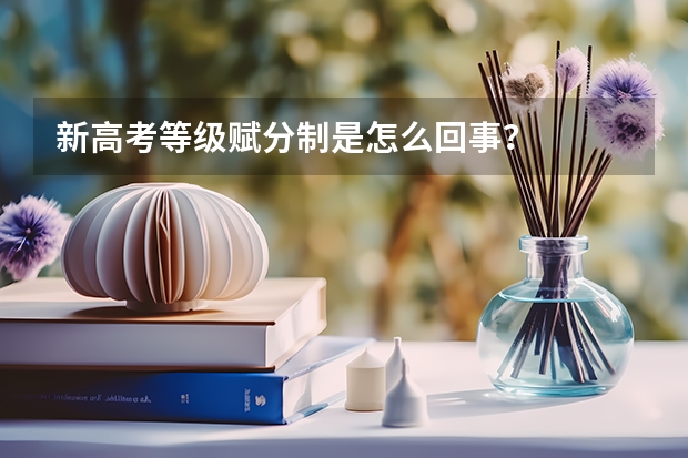 新高考等级赋分制是怎么回事？