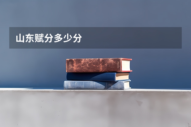 山东赋分多少分