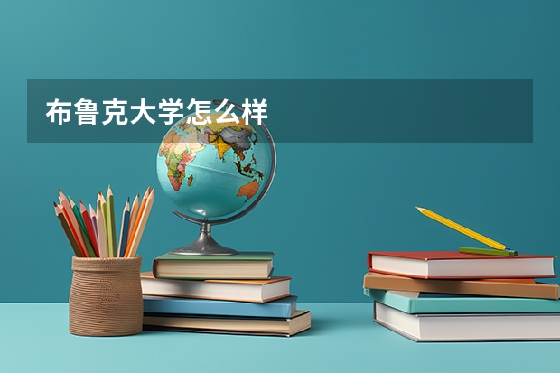 布鲁克大学怎么样