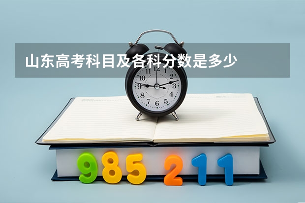 山东高考科目及各科分数是多少