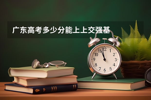 广东高考多少分能上上交强基